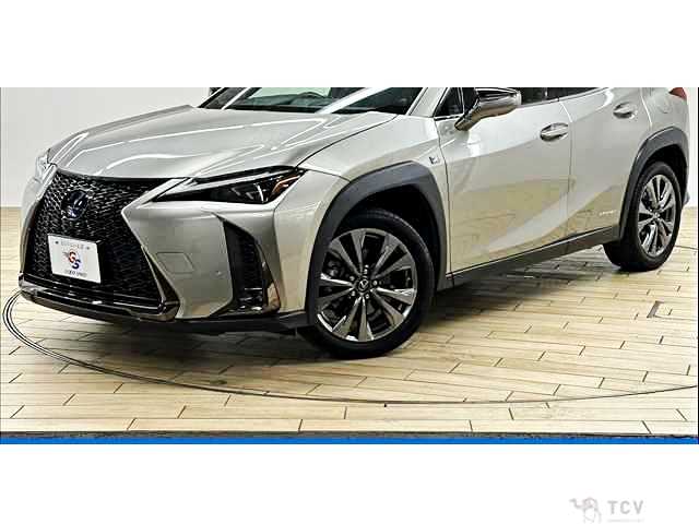 2020 Lexus Other