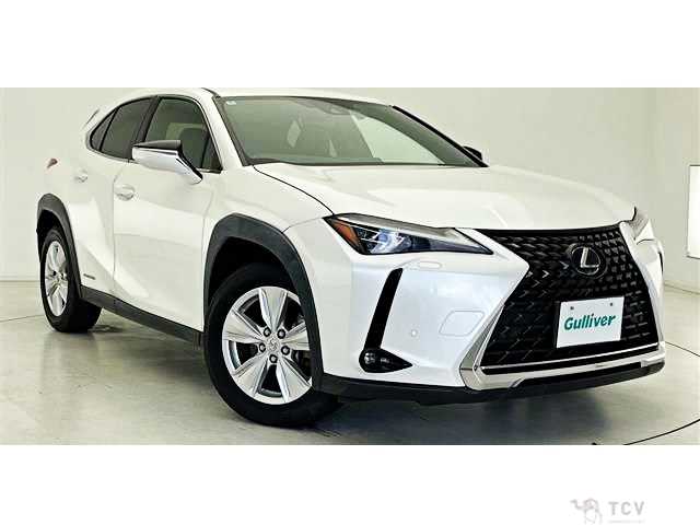 2020 Lexus Other