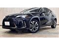 2020 Lexus Other
