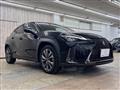 2020 Lexus Other