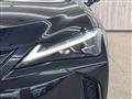 2020 Lexus Other