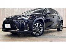 2020 Lexus Other