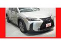 2020 Lexus Other