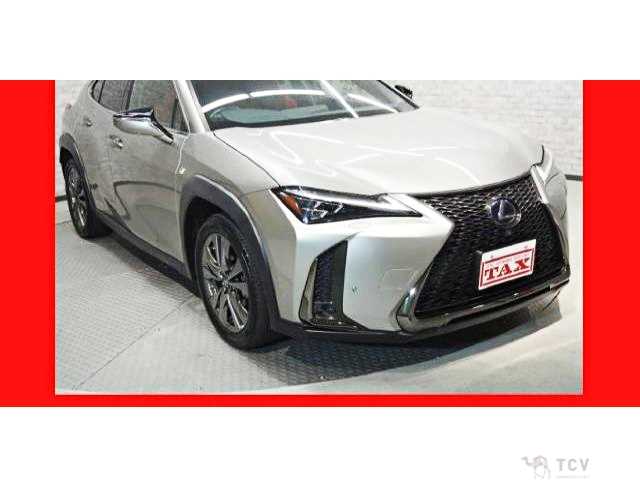2020 Lexus Other