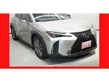 2020 Lexus Other