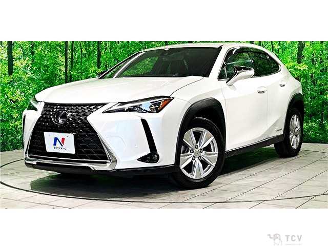 2020 Lexus Other