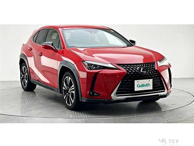2020 Lexus Other