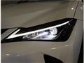 2020 Lexus Other