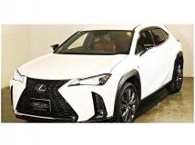 2020 Lexus Other