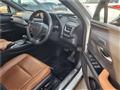 2020 Lexus Other