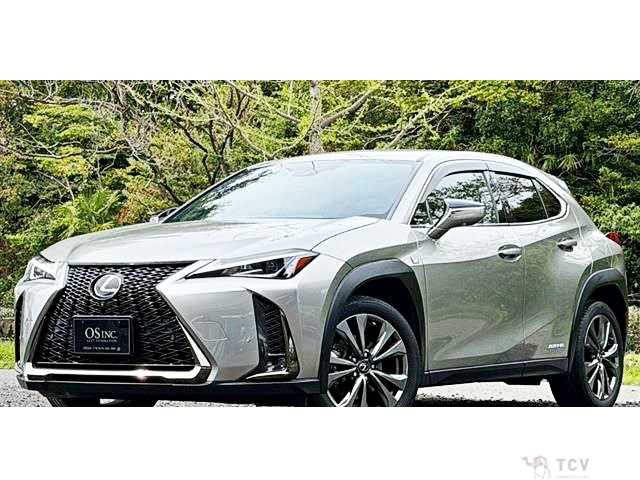 2020 Lexus Other