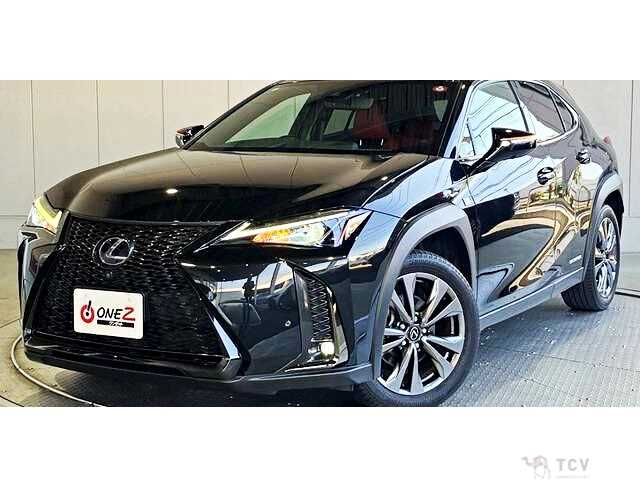 2020 Lexus Other