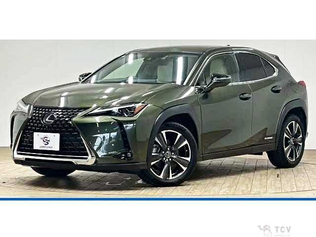 2020 Lexus Other