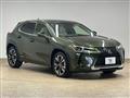 2020 Lexus Other