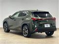 2020 Lexus Other