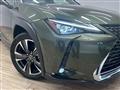 2020 Lexus Other