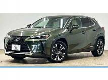 2020 Lexus Other