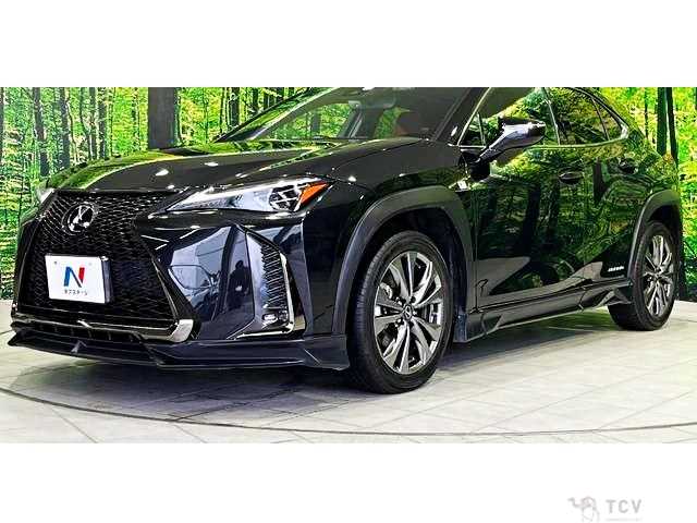 2020 Lexus Other