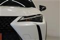 2020 Lexus Other