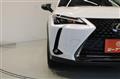 2020 Lexus Other