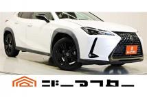 2020 Lexus Other