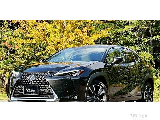 2020 Lexus Other
