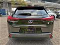 2020 Lexus Other