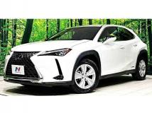 2020 Lexus Other