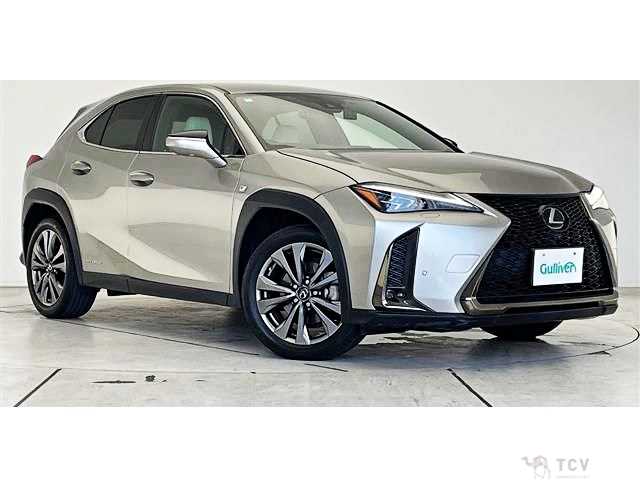2020 Lexus Other