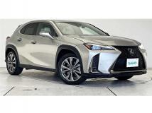 2020 Lexus Other