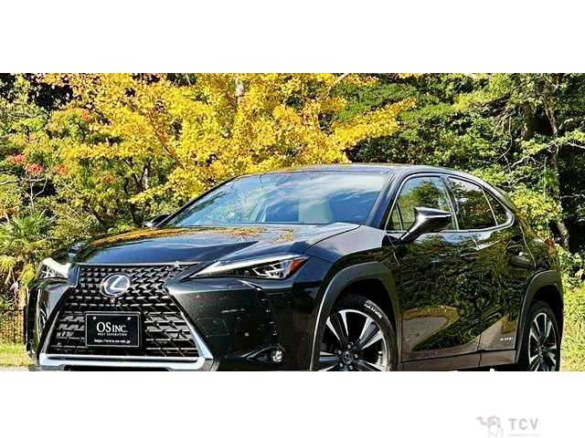2020 Lexus Other