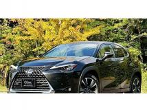 2020 Lexus Other