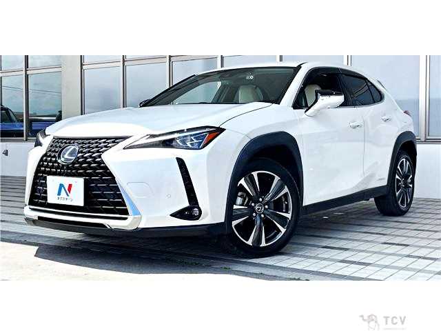 2020 Lexus Other