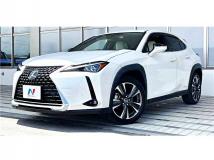 2020 Lexus Other