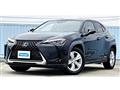 2020 Lexus Other