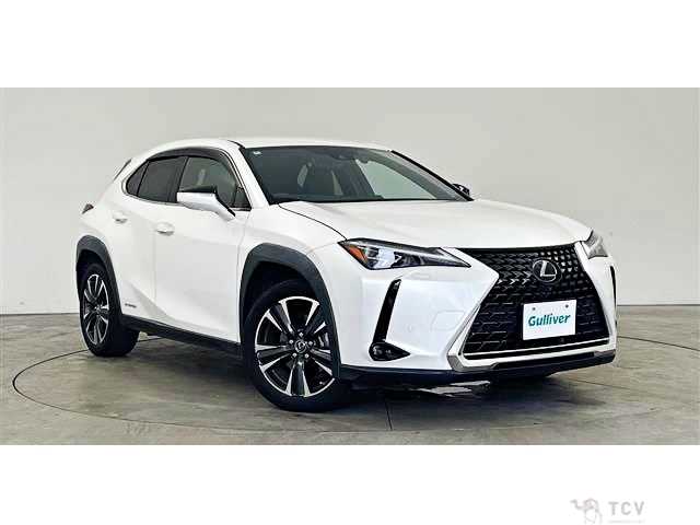 2020 Lexus Other