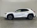 2020 Lexus Other