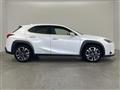 2020 Lexus Other