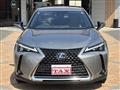 2020 Lexus Other