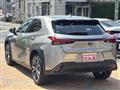 2020 Lexus Other