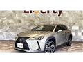 2020 Lexus Other
