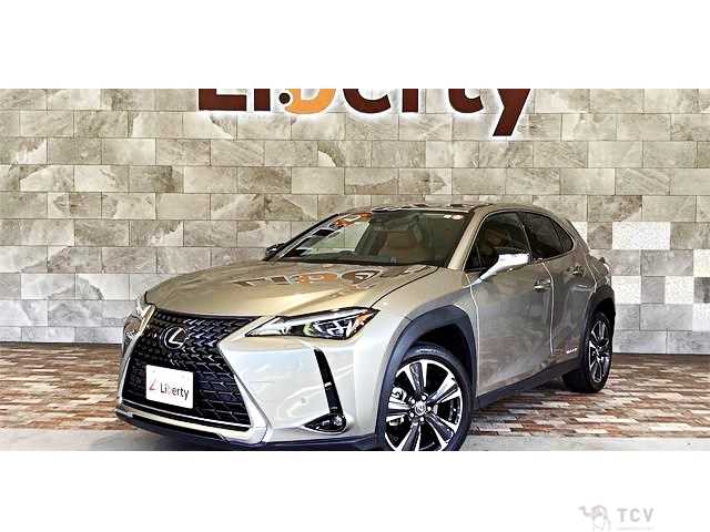 2020 Lexus Other