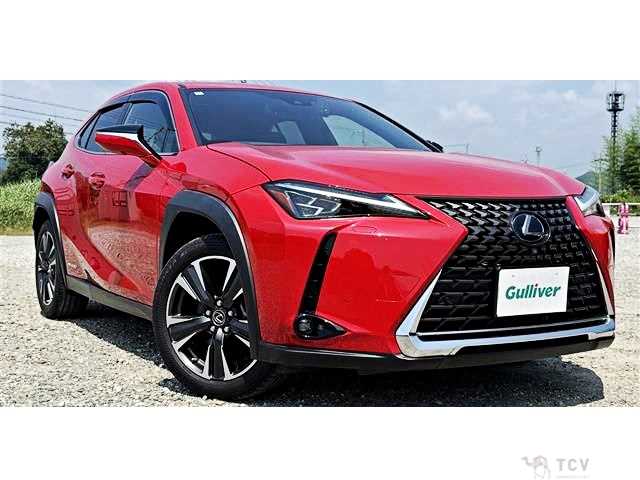 2020 Lexus Other