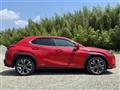 2020 Lexus Other