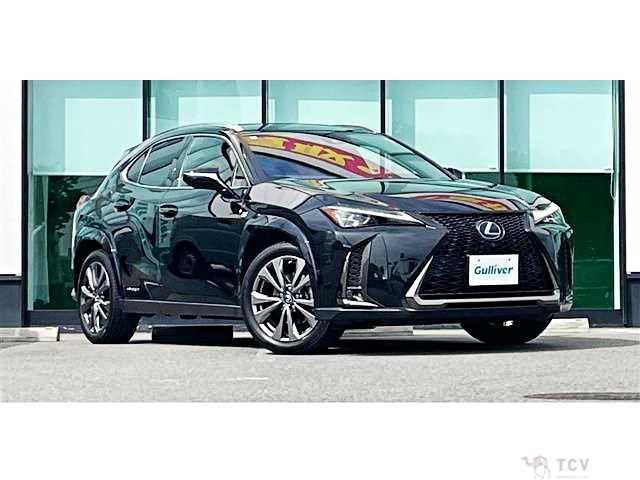 2020 Lexus Other