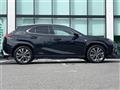 2020 Lexus Other