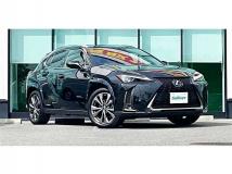 2020 Lexus Other