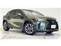 2020 Lexus Other