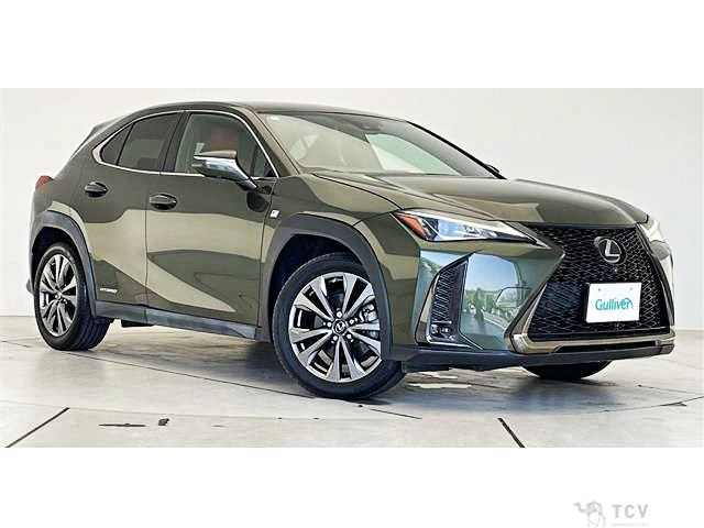 2020 Lexus Other