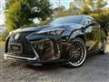 2020 Lexus Other